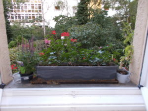 Dicht-gedraengt-300x225