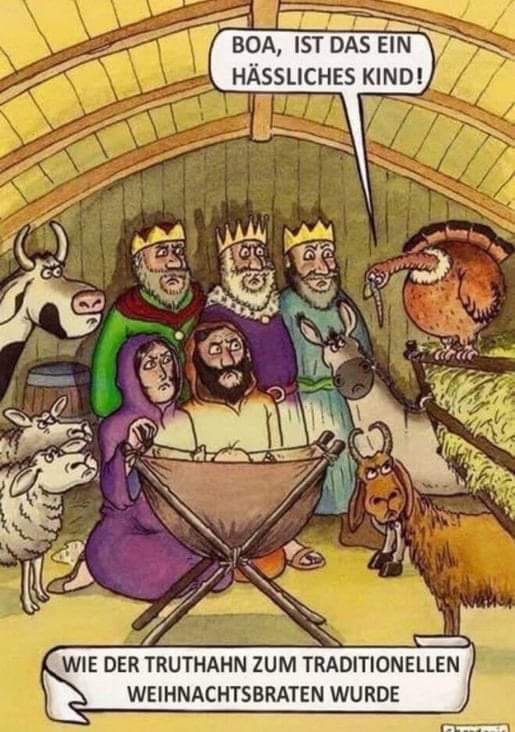 6 Wie Truthahn zum Weihnachtsbraten wurde